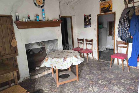 Landejendom i Almansa, Albacete, Almansa - € 125.000 | Ref: SF0553 - foto 3